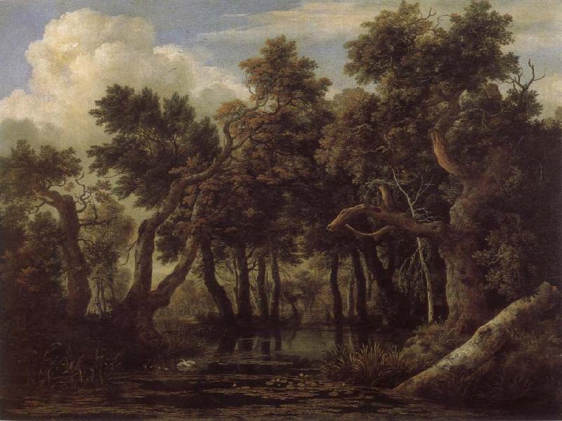 Jacob van Ruisdael Marsh in a Forest